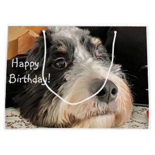 Happy Birthday Cute Bernedoodle Large Gift Bag
