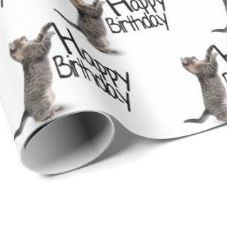 Happy Birthday Tabby Cat fun