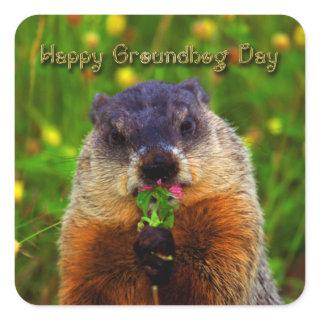 Happy Groundhog Day Eating Flower Square Sticker