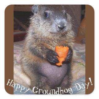 Happy Groundhog Day Stickers