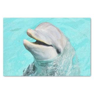 Happy Smiling Dolphin Tissue Paper