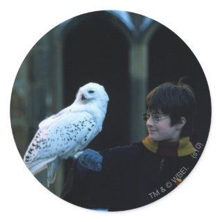 Harry and Hedwig 2 Classic Round Sticker