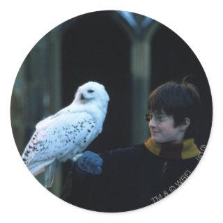 Harry and Hedwig 2 Classic Round Sticker