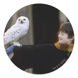 Harry and Hedwig 3 Classic Round Sticker
