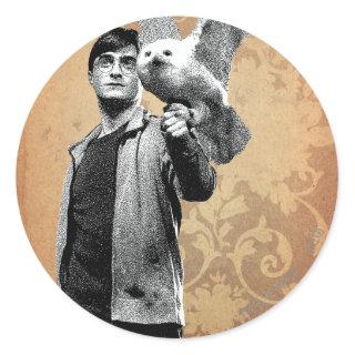 Harry Potter 12 Classic Round Sticker