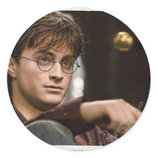 Harry Potter 17 Classic Round Sticker