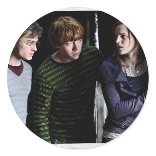 Harry, Ron, and Hermione 4 Classic Round Sticker