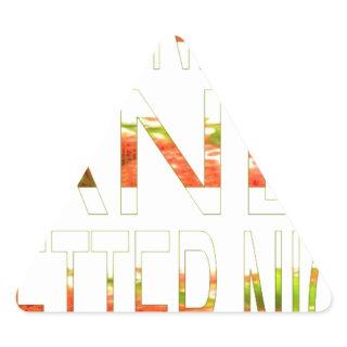 Have a Nice Day and a Better Night Art Print Triangle Sticker