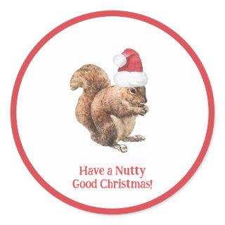 Have a NUTTY Good Christmas Squirrel Holiday   Classic Round Sticker