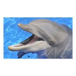 Head of  bottlenose dolphin rectangular sticker