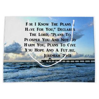 HEAVENLY JEREMIAH 29:11 SCRIPTURE DESIGN LARGE GIFT BAG