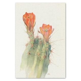 Hedgehog Cactus by Margaret Armstrong Tissue Paper
