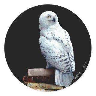 Hedwig on books classic round sticker