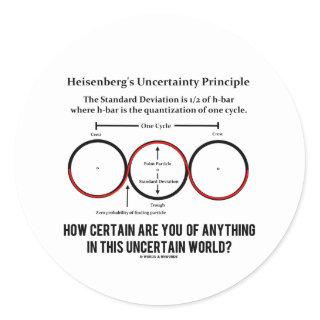 Heisenberg's Uncertainty Principle Physics Humor Classic Round Sticker