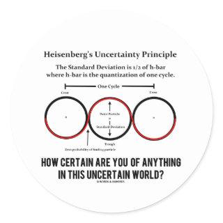 Heisenberg's Uncertainty Principle Physics Humor Classic Round Sticker