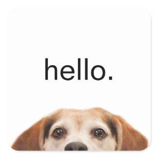 Hello Cute Funny Beagle Dog Modern Trendy Square Sticker