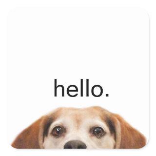 Hello Cute Funny Beagle Dog Modern Trendy Square Sticker