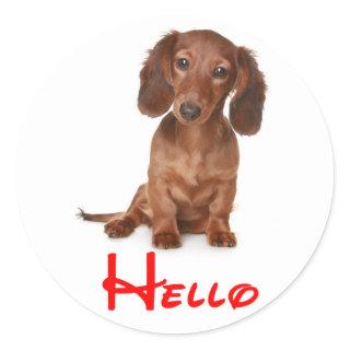 Hello Dachshund Puppy Dog Sticker / Label