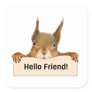 Hello Friend Funny Squirrel Square Sticker