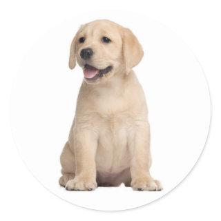 Hello / Hi  Labrador Retriever Puppy Dog Stickers
