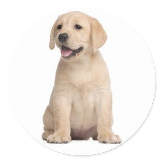 Hello / Hi  Labrador Retriever Puppy Dog Stickers