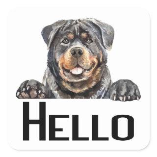 Hello Rottie Puppy Dog Watercolor Rottweiler  Squ Square Sticker