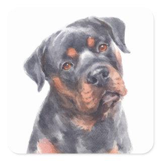 Hello Rottie Puppy Dog Watercolor Rottweiler  Square Sticker