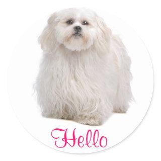 Hello White Shih Tzu Puppy Dog Greeting Stickers