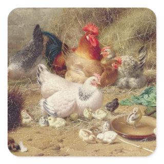 Hens roosting with their chickens square sticker