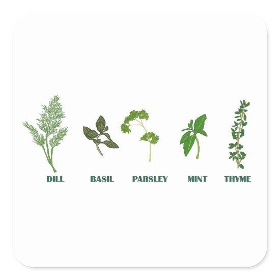 Herb Collection Square Sticker
