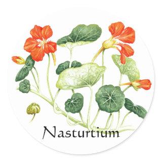 Herb Garden Series - Nasturtium Classic Round Sticker