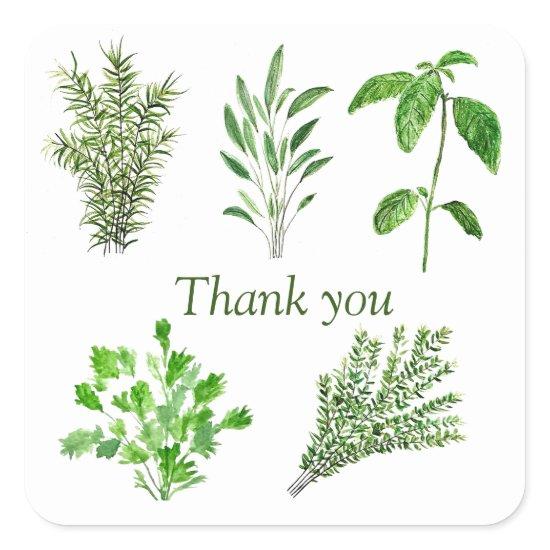 Herbs Rosemary Sage Thyme Mint Parsley Thank You Square Sticker