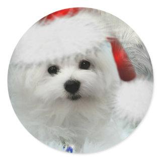 Hermes the Maltese Classic Round Sticker