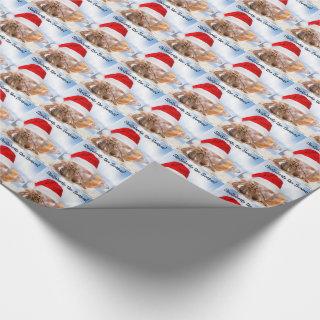 Hermit Crab Christmas Small
