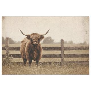 Highland Bull Vintage Style Cattle Decoupage Tissue Paper
