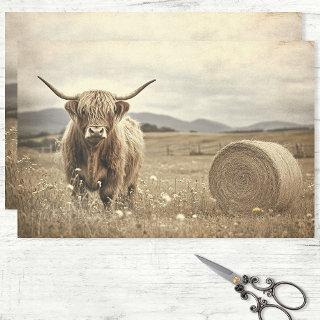 Highland Cow in a Hay Field Decoupage Tissue Paper