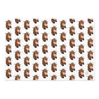 Highland Cow