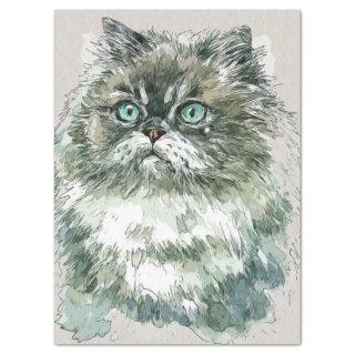 Himalayan Cat Breed Watercolor Sketch Tissue Paper