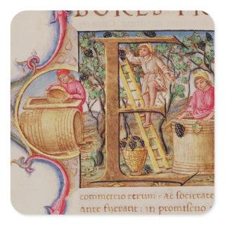 Historiated initial 'E' depicting grape picking Square Sticker