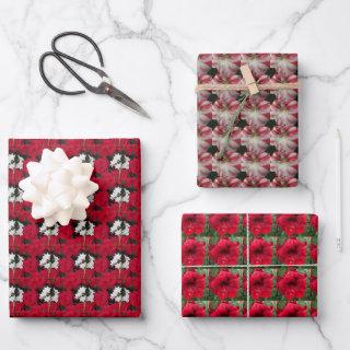 Holiday Paperwhites and Amaryllis Floral Pattern  Sheets