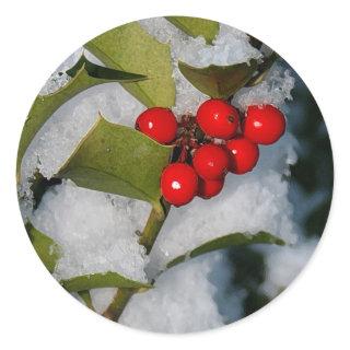 Holly berries in snow stickers