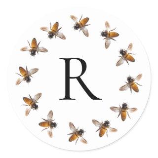 Honey Bee, bee, bumble bee, insect Classic Round Sticker