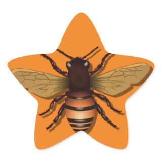 honeybee-bee-insect-fly-honey star sticker
