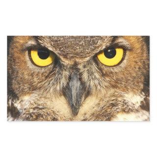 Horned Owl Face Stickers