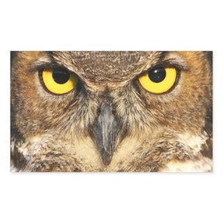 Horned Owl Face Stickers