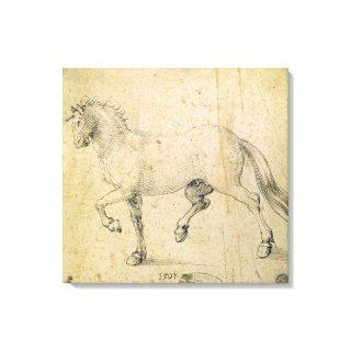 Horse, 1503 (pen and ink on paper) canvas print
