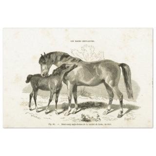 Horse and Foal Ephemera Decoupage Vintage French Tissue Paper