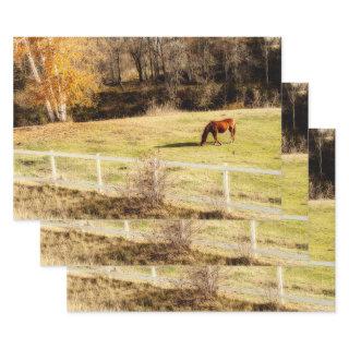 Horse Country Rustic Autumn Decoupage  Sheets
