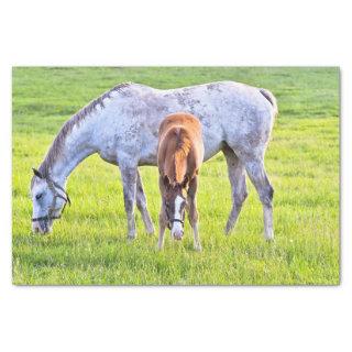 Horse & Foal Tissue Paper