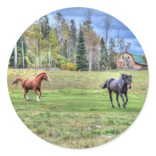 Horse-lover's Equine Photo on a BC Ranch Classic Round Sticker